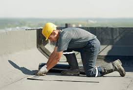 Best Roof Moss and Algae Removal  in Kentwood, LA